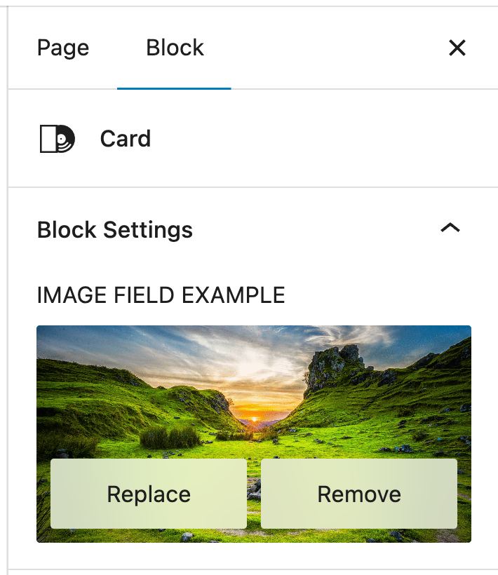 Fancoolo fields in gutenberg image selected